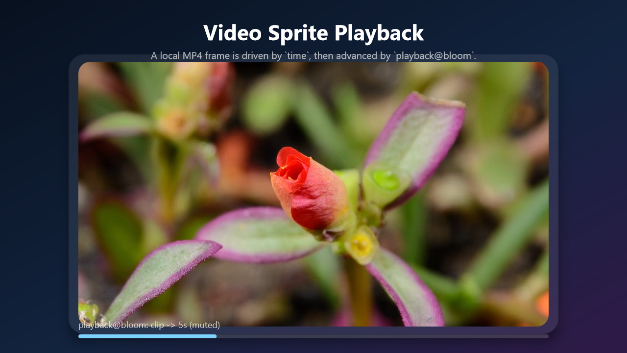 Video playback